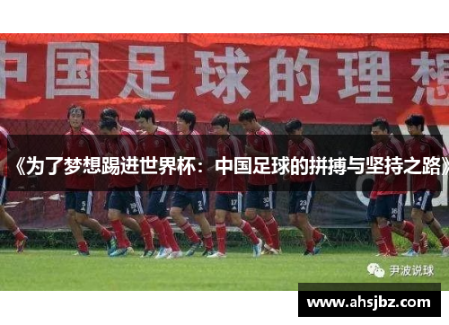 《为了梦想踢进世界杯：中国足球的拼搏与坚持之路》